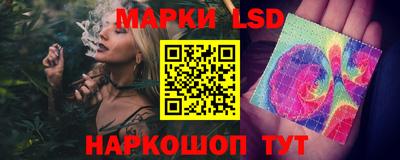 прущие грибы Заводоуковск